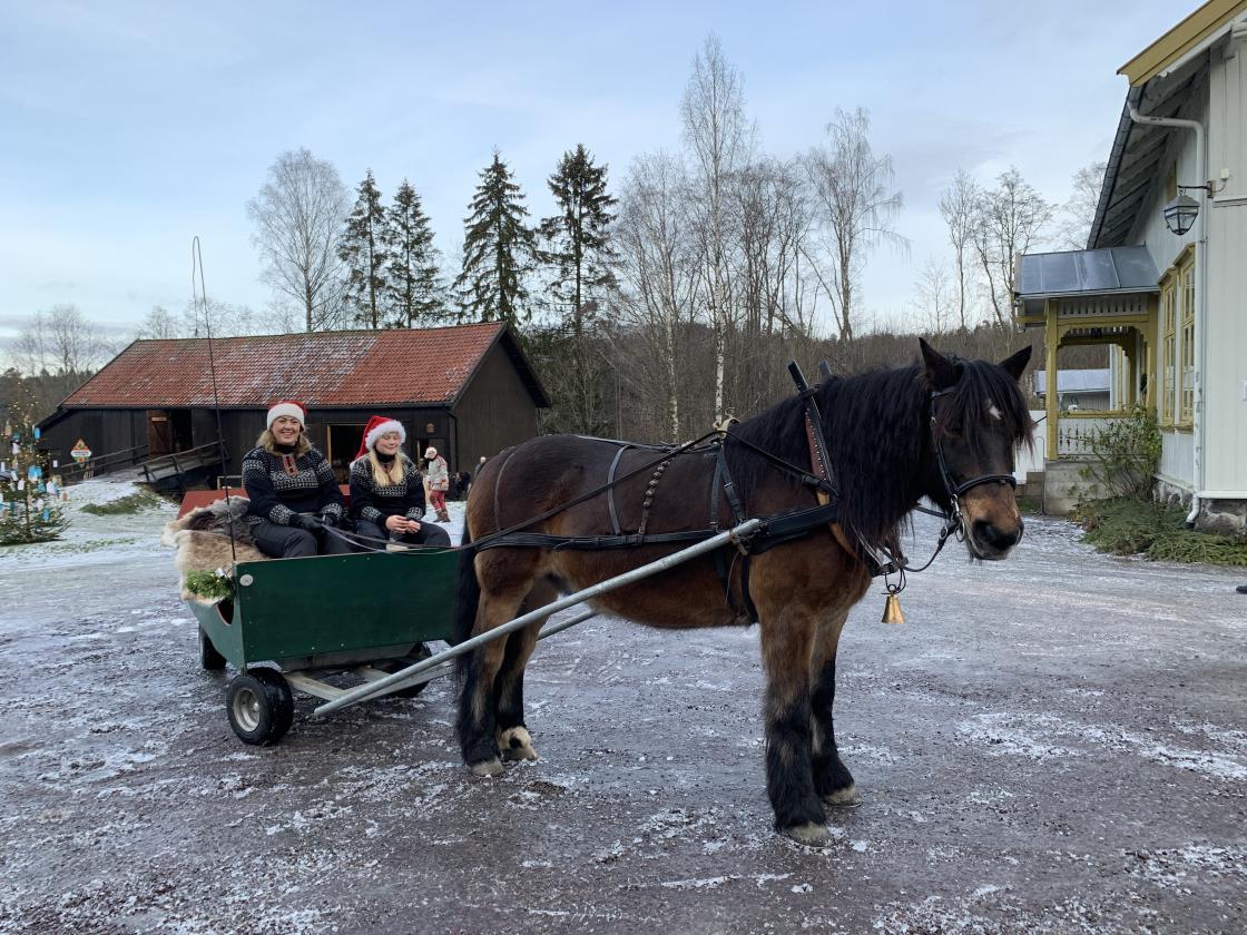 Helene Bøe med datter og en go'modig gamp sørget for hesteskyss til store og små