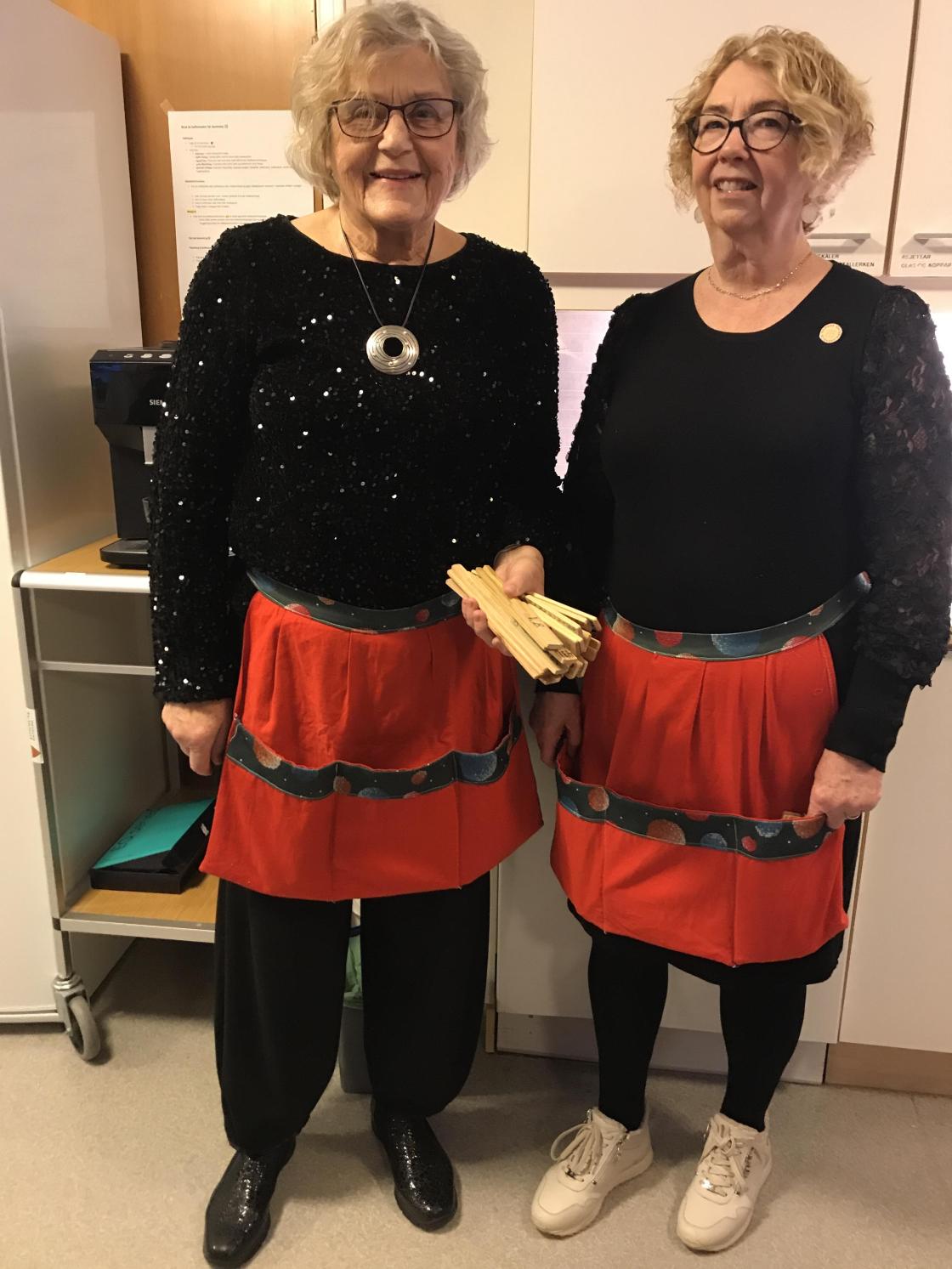 Solveig og Nelly klar med årane!