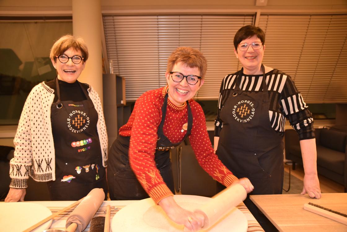 Tre blad styreledere i Norges Bygdekvinnelag. Fra v. tidligere ledere Jorun Henriksen og Kathrine Kleveland, og dagens leder Anne Irene Myhr. Foto: Helle Cecilie Berger.