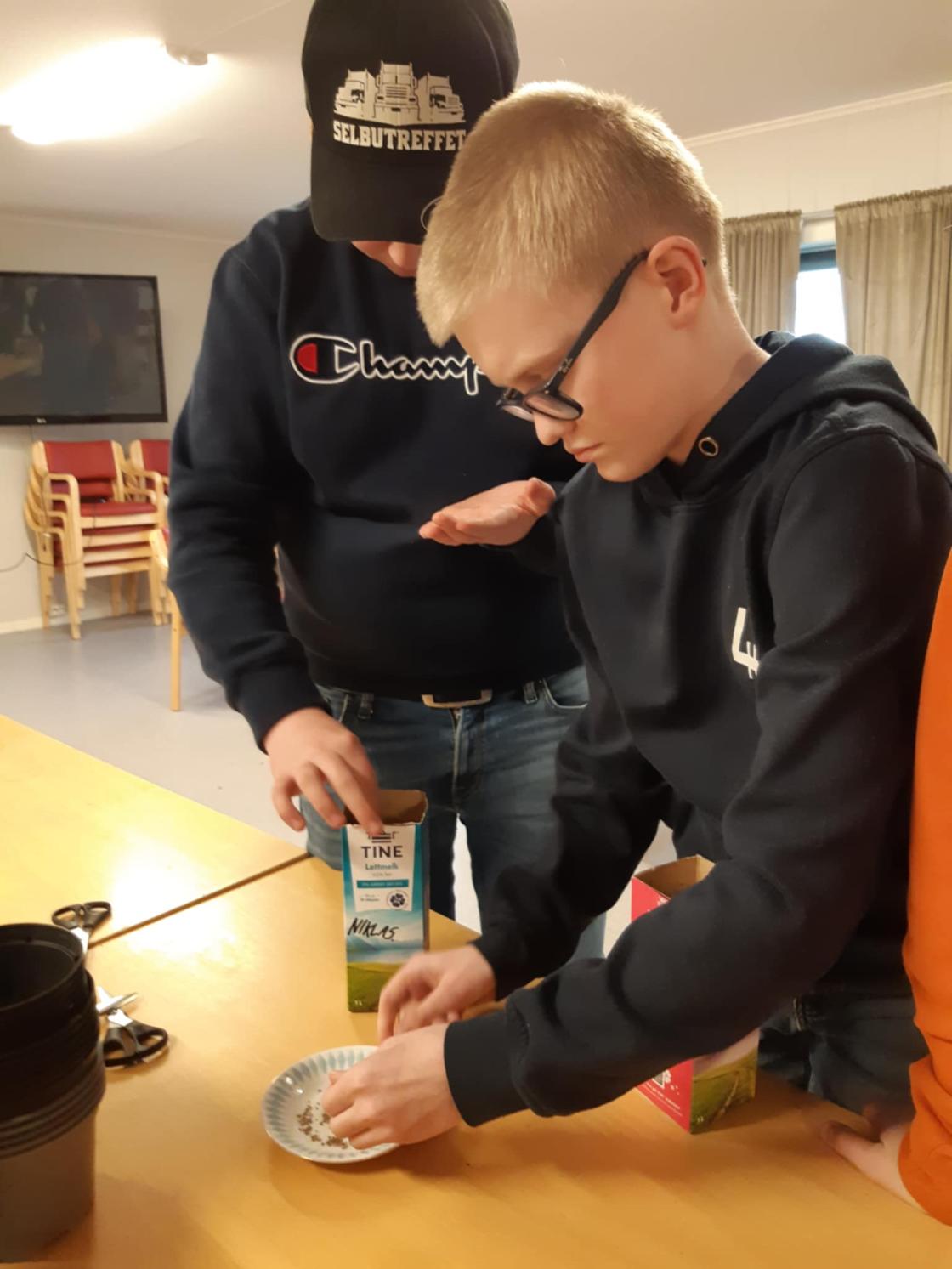 Barn sår grønnsaker