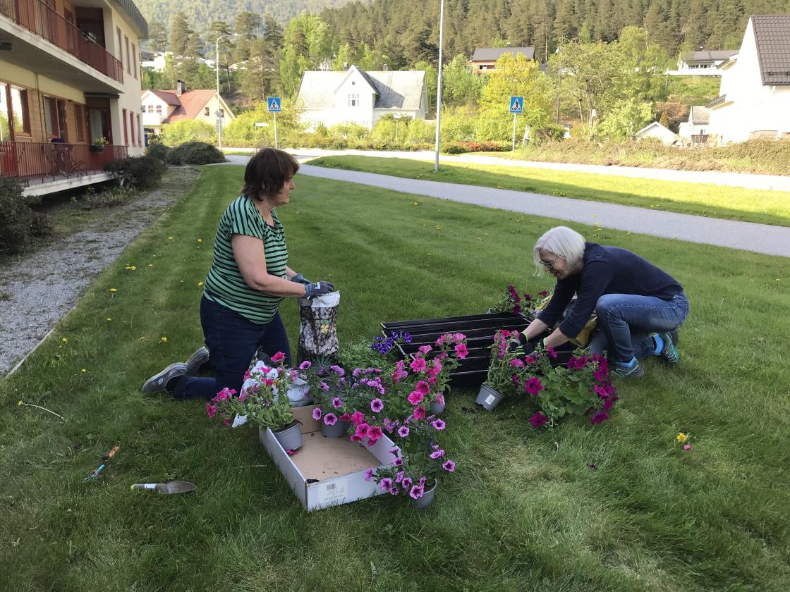 Bjørg og Turid planta i nye verandakasser på Open omsorg.
