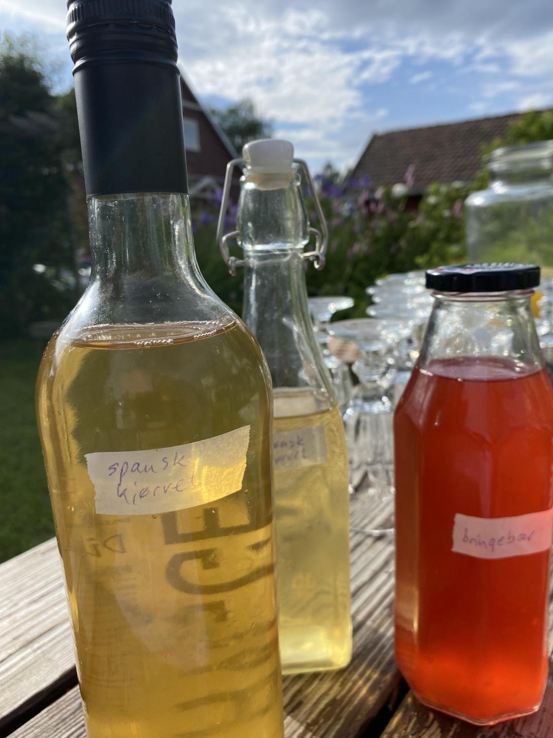 Kombucha og limonade