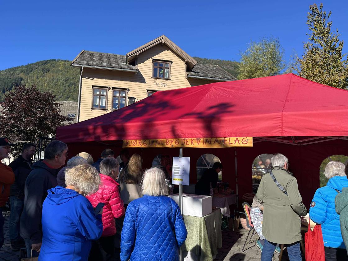 Lang kø framføre standen til bygdekvinnelaget. Foto: Svanhild Spilde