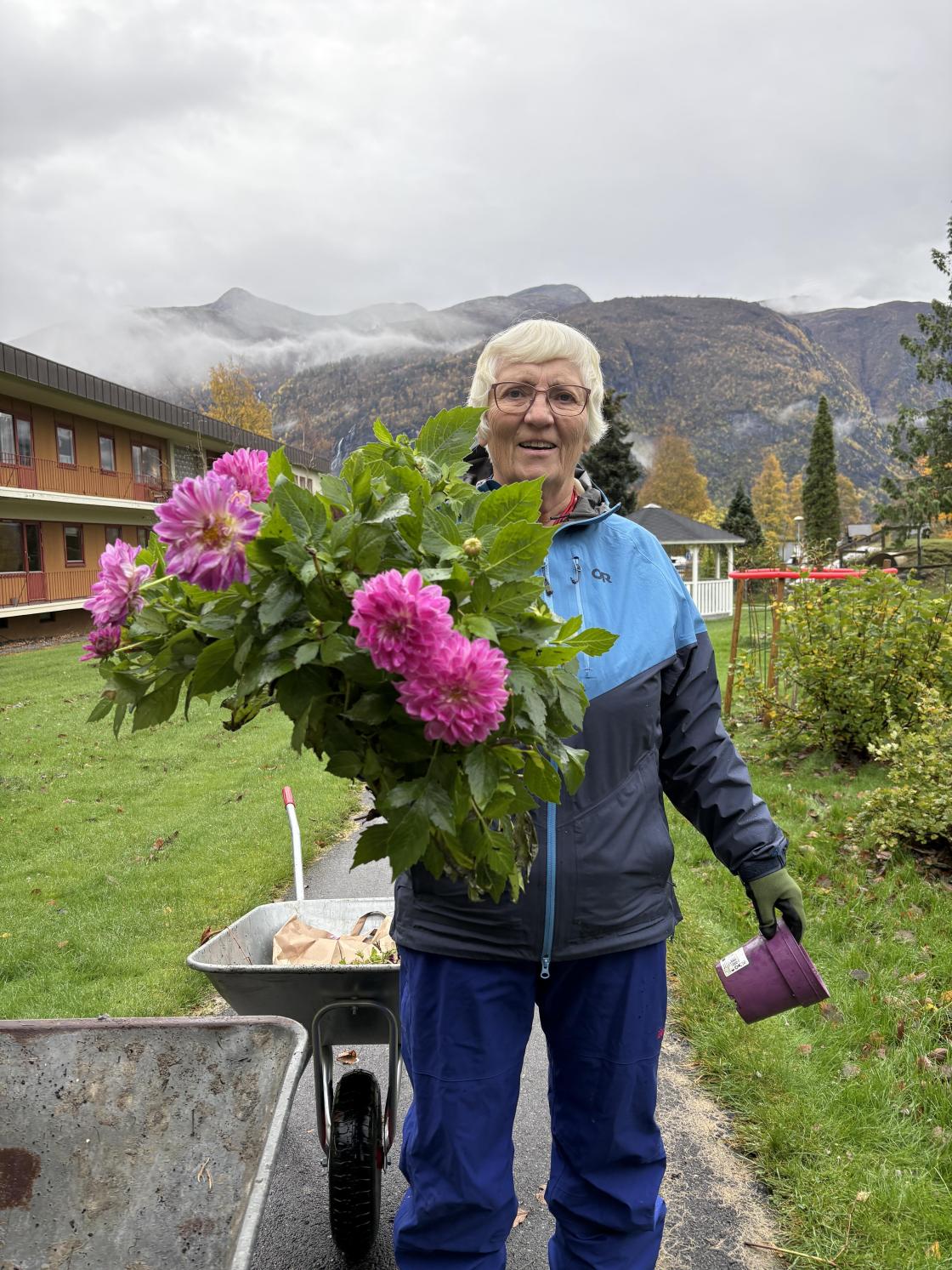 Anne kom med fine georgineroser.