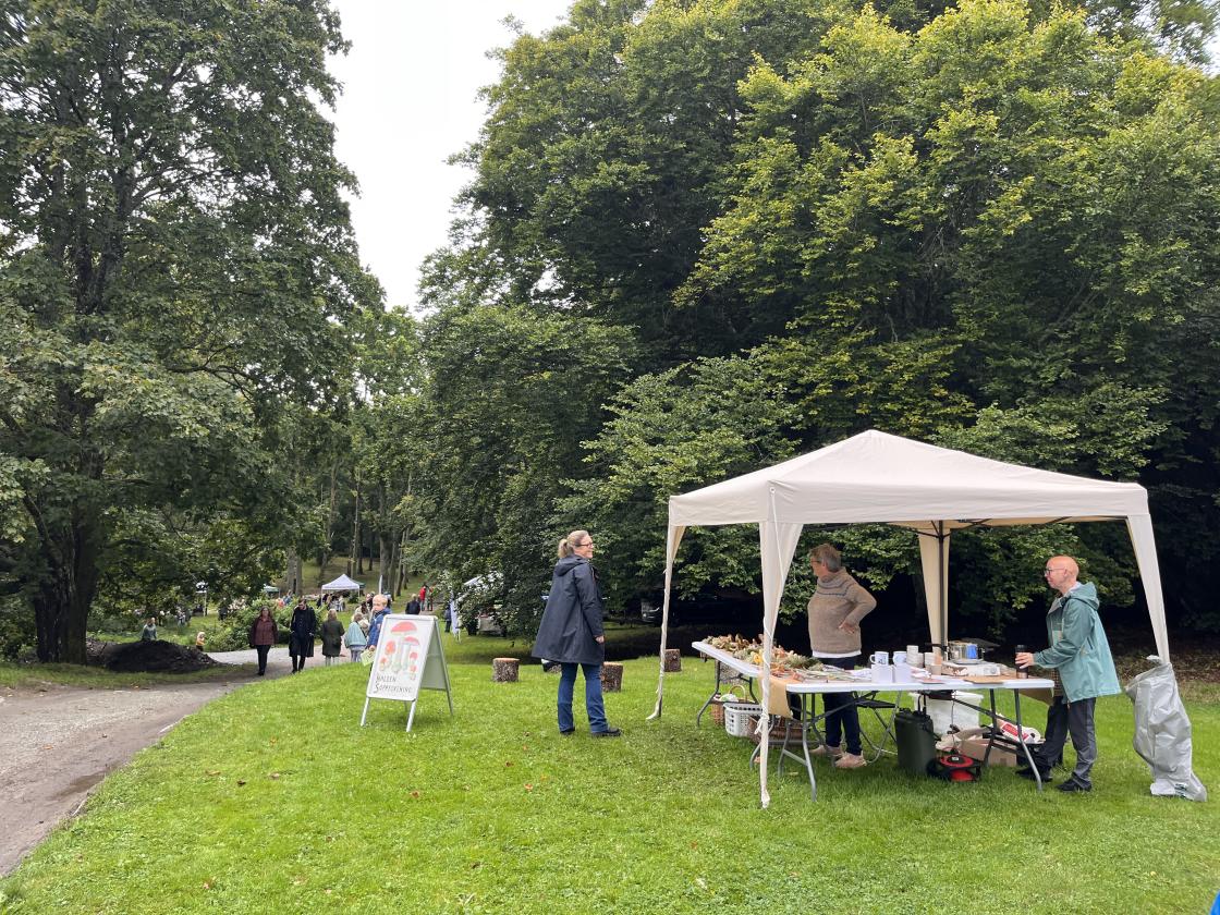 Halden sopp- og nyttevekstforening