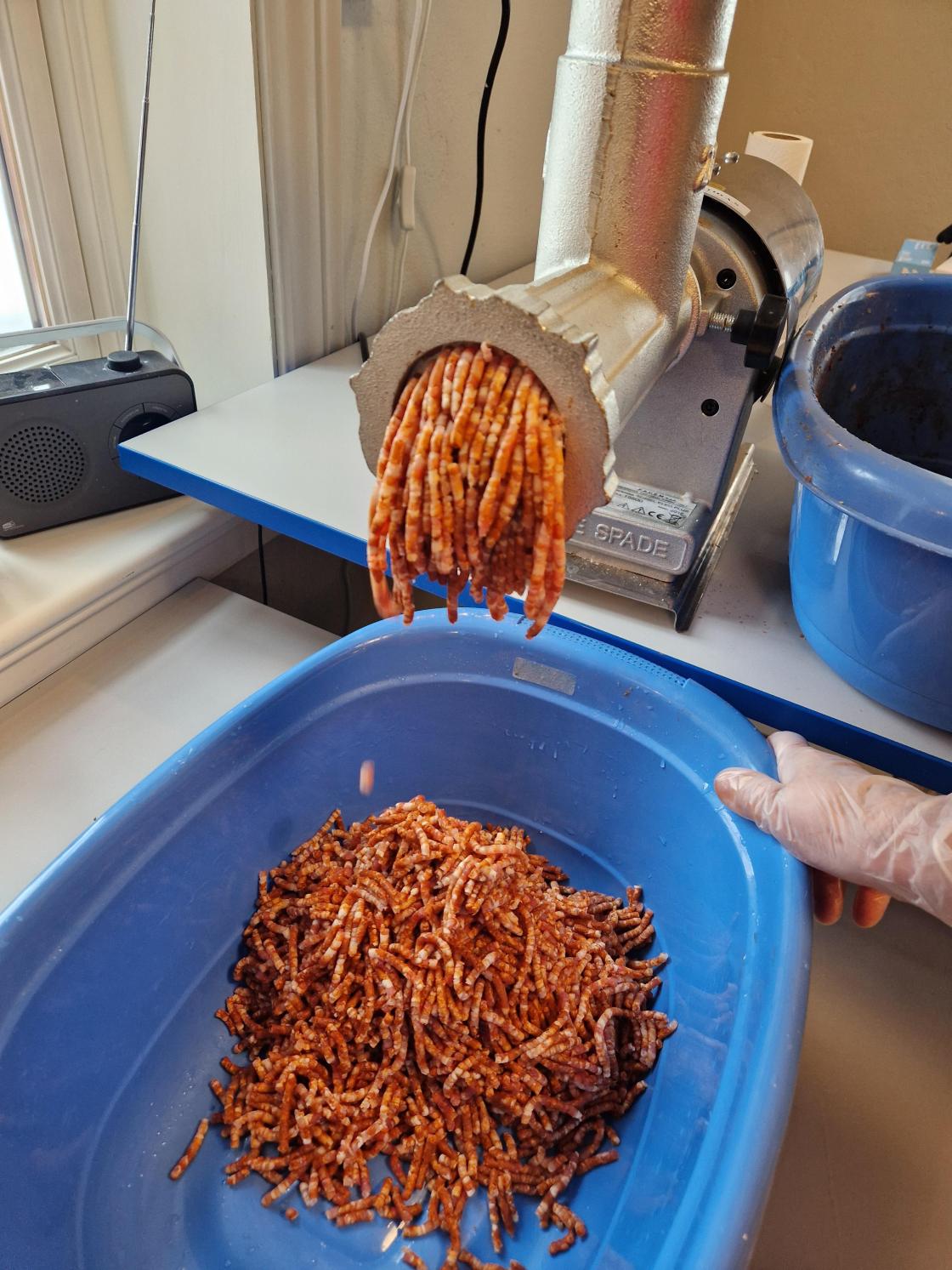 Mye godt krydder i farsen