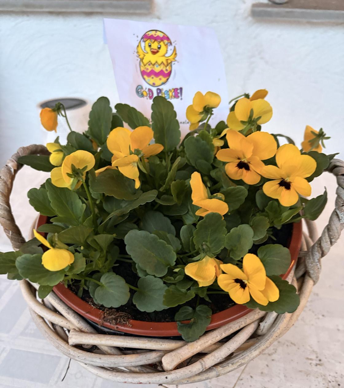 Koseleg påskehelsing.