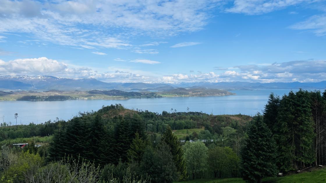 Utsikten fra Førland.
