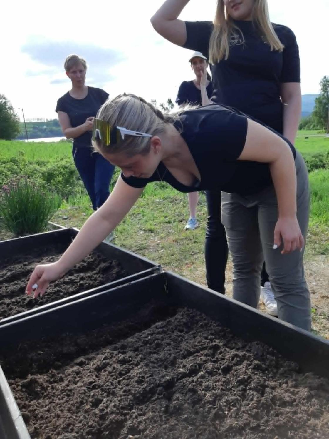 Såing i pallekarm