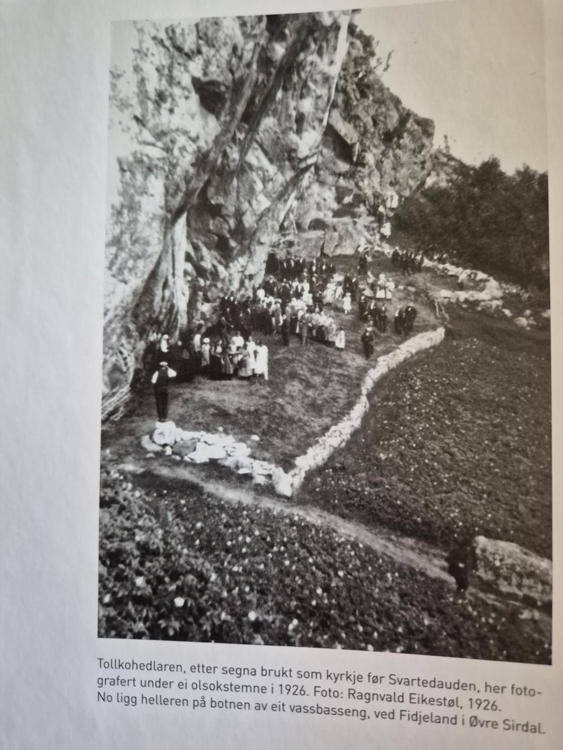 Tolkohedlaren