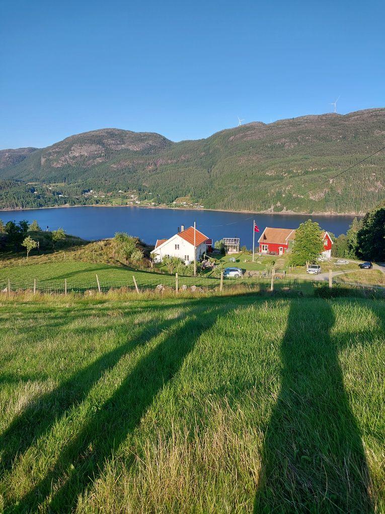 Virak