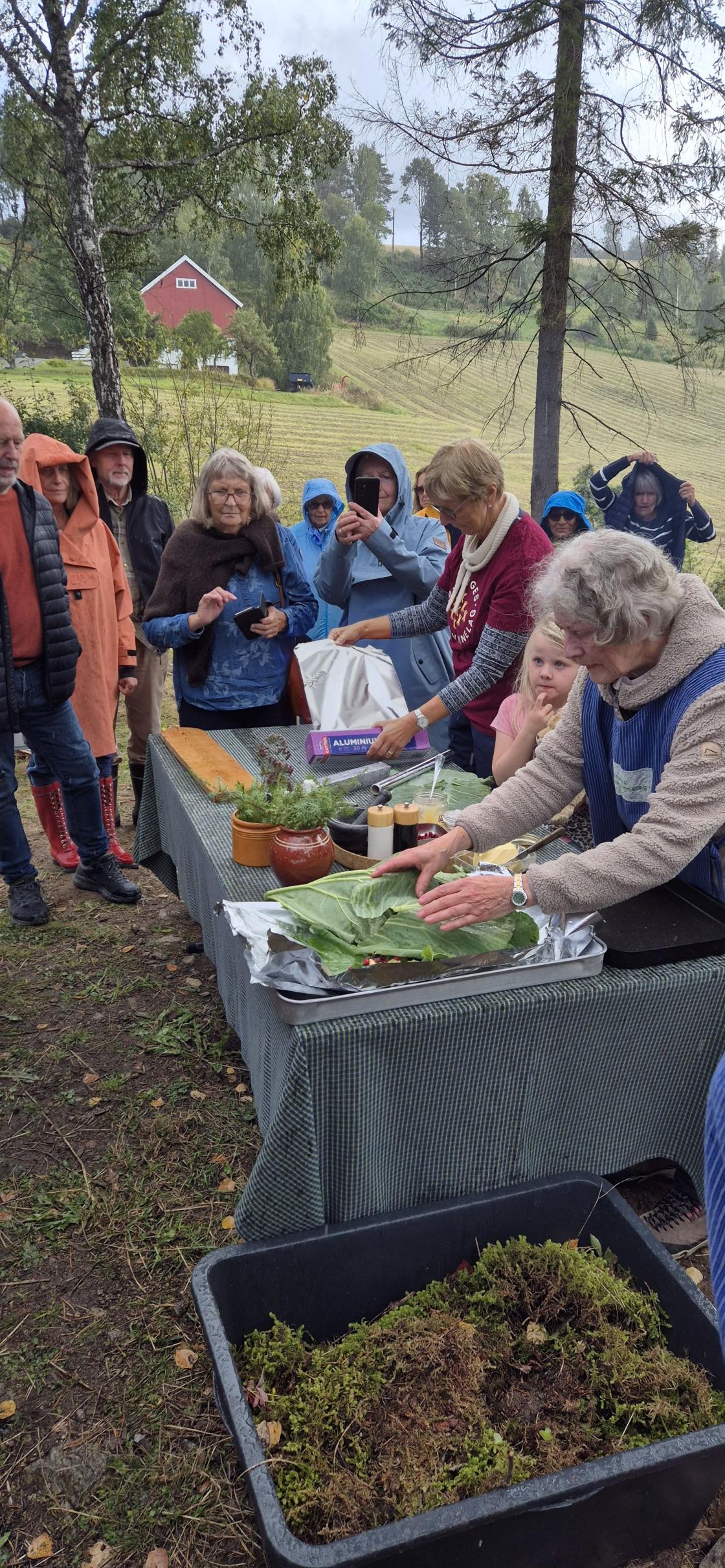 Elsa pakker kjøttet inn i rabarbra- og kålblader før det legges i kokegropa.