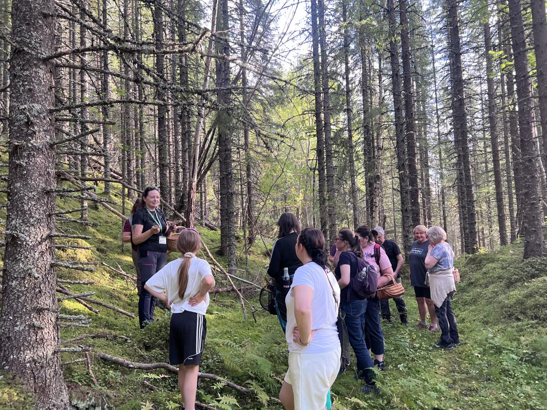 kursing i sopp ute i skogen