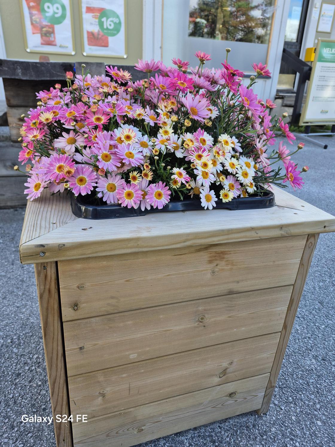 Blomster i blomsterkasse.