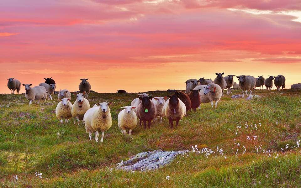 3. plassen gjekk til Lars Polden.