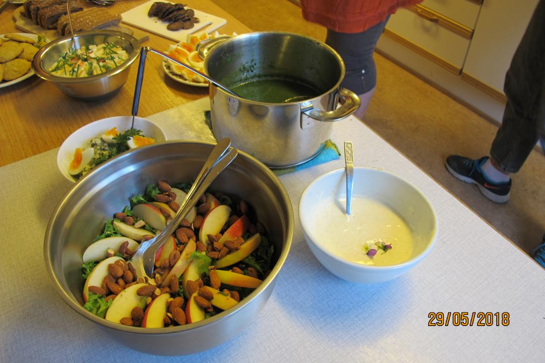 Brenneslesuppe og salat m/dressing