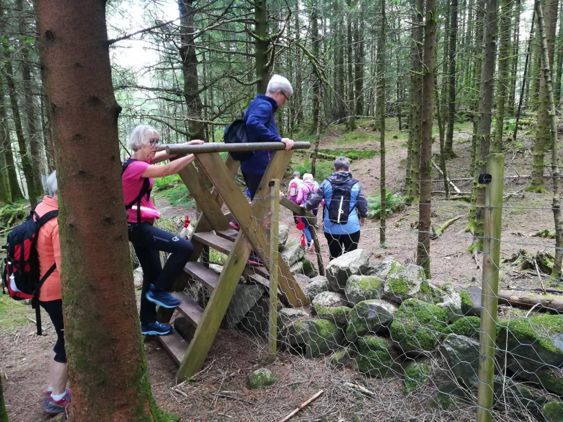 Lett å komma over steigardane. Ser du den fine hekla pynten på gjerdet?