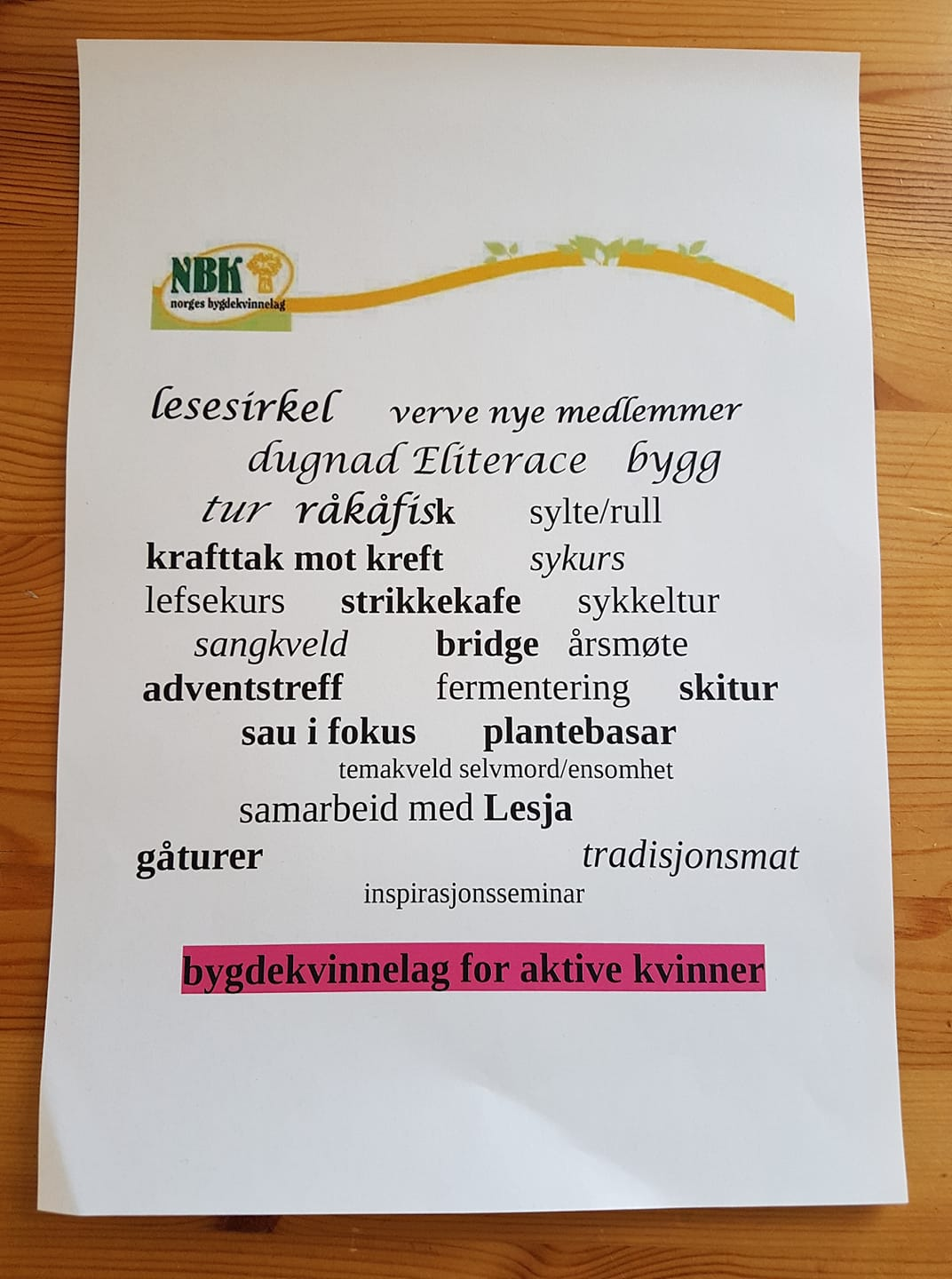 Aktiviteter i Lesjaskog BK