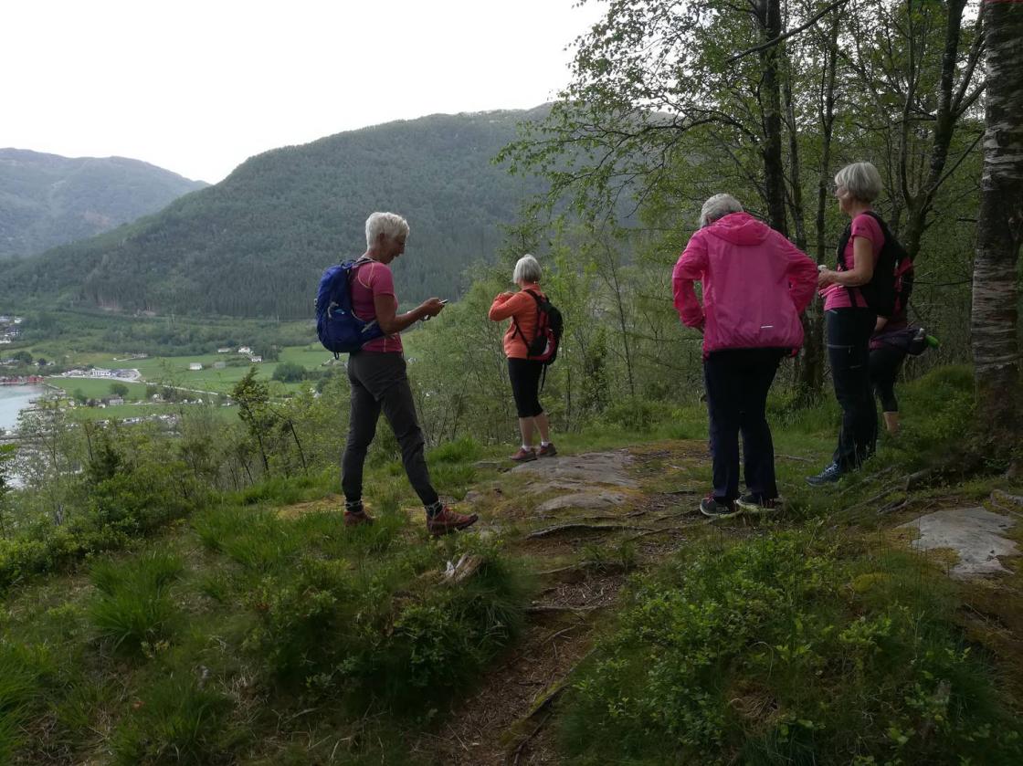 Framme  til utsikten mot Rosendal.