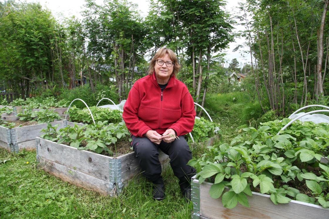 Åshild Karlstrøm Rundhaug (66) bor i  Alta og er lærer i grunnskolen. Hun har  vært politiker i mange år og vara på  Stortinget. I voksen alder tok hun  «Matkulturstudiet» på Høgskolen i  Nesna i Nordland. I dag har hun begynt  å skrive fortellinger for barn og kommer  med bok om den kvenske bakekulturen.  Hun er leder i Alta Kvenforening og  styremedlem i Norske Kveners Forbund. Foto:  Arne Hauge/Ruijan Kaiku.