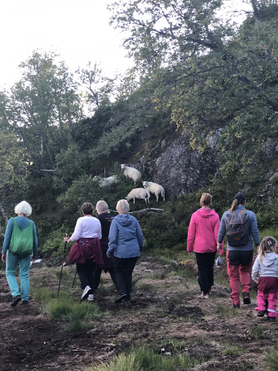 Bli kjend i bygda