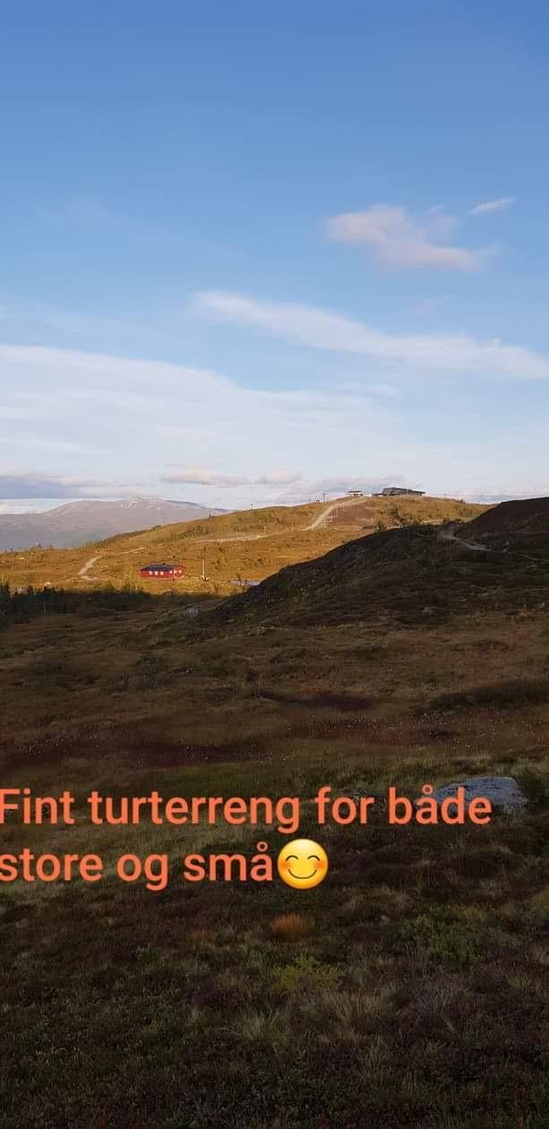 Flott turterreng for både små og store.