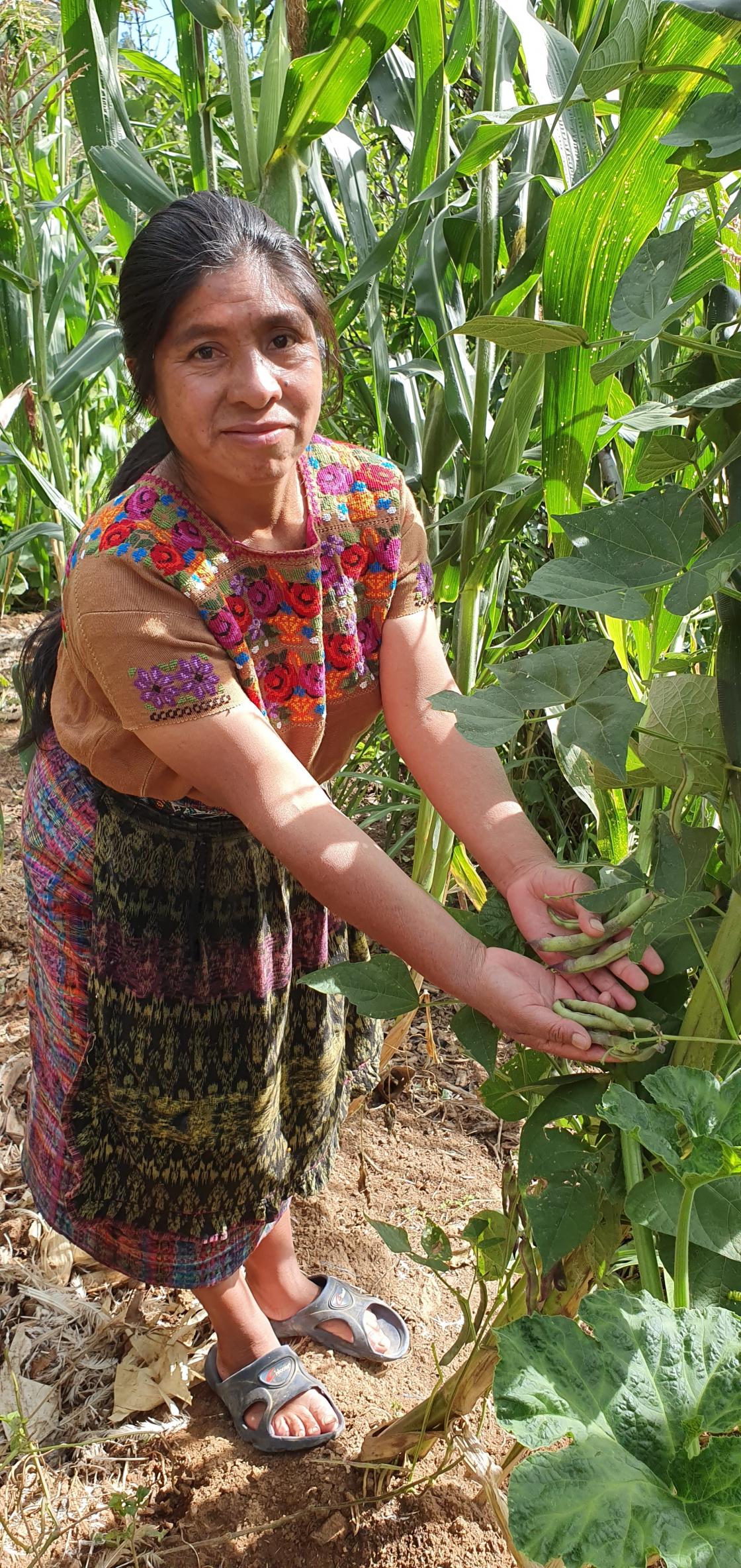 kvinnene i Guatemala