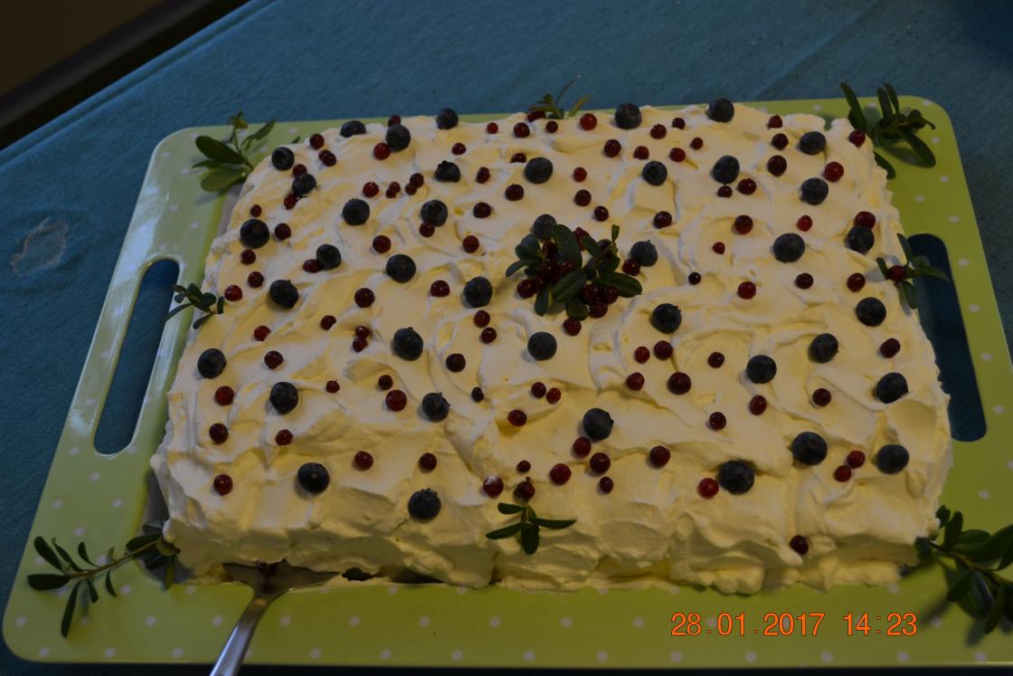 Kake til kaffen (Foto Irene Kaupang Tangen)