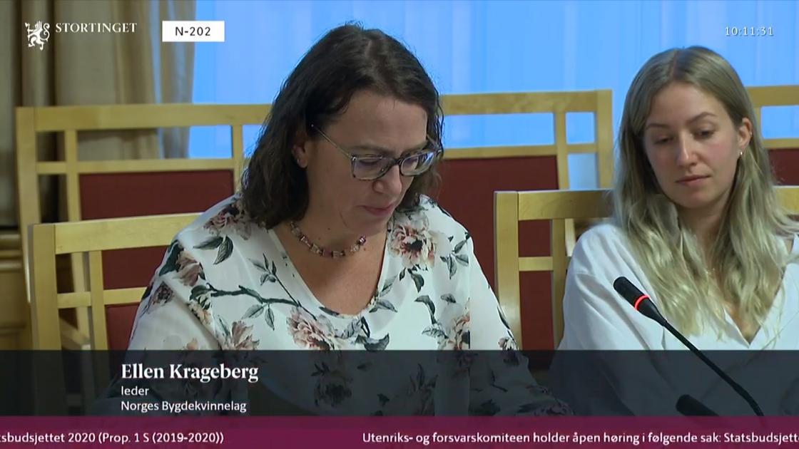 Utklipp fra Stortingets Nett-TV. Videoklippet kan du se i linken i saken.