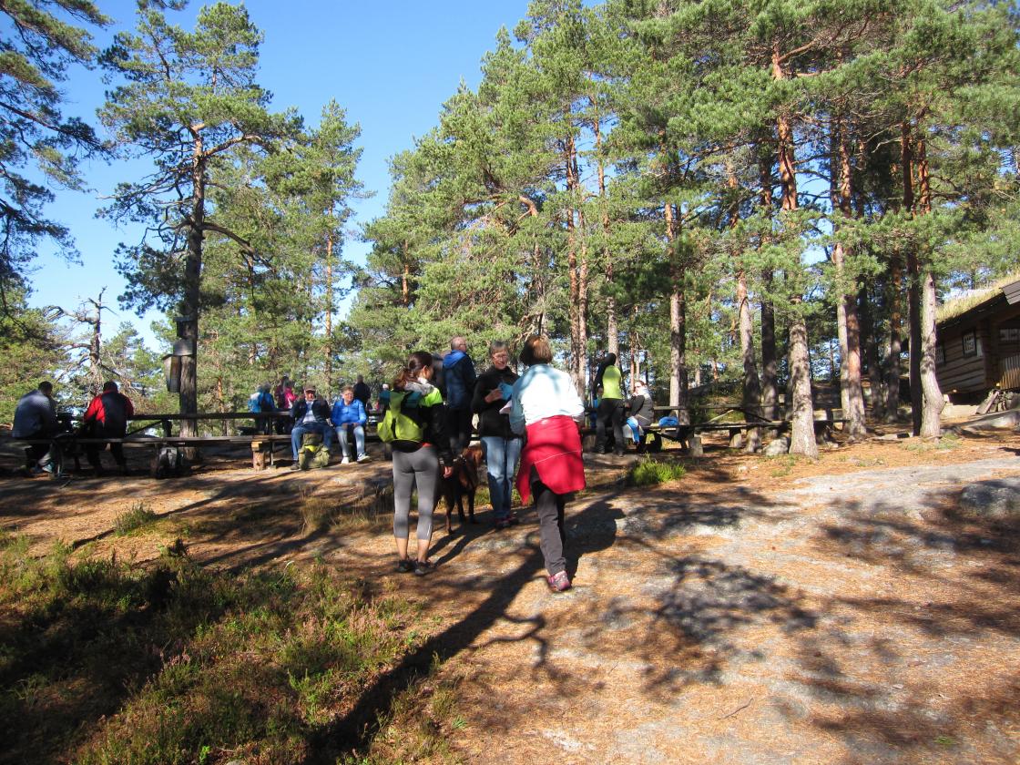 Framme ved Skimtefjell