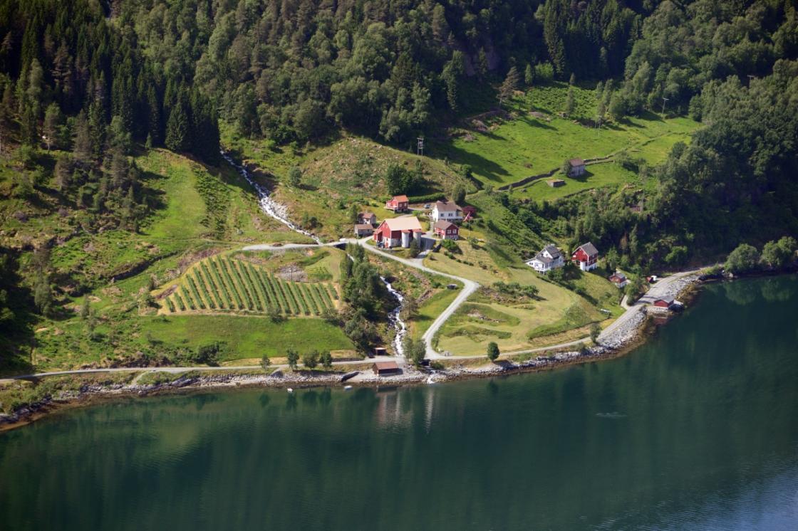 Garden JUV, produksjon av bringebær og turisme