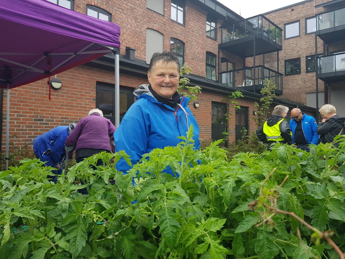 &amp;quot;Grøntloppe-Generalen&amp;quot;