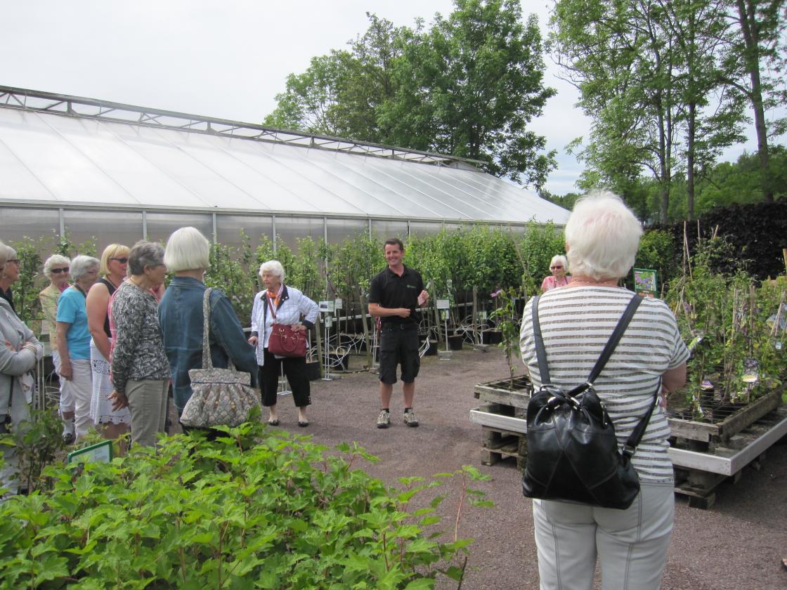 Hageland Rom - gartner Per forteller