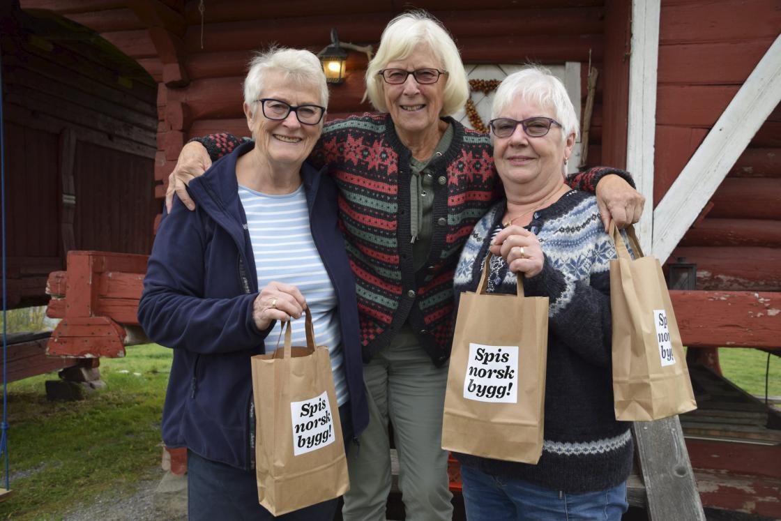 Vera Tinnes Solaas, Reidun Dahl og Randi Brøndahl fra Heddal bygdekvinnelag. Foto: Jens Marius Hammer/Telen