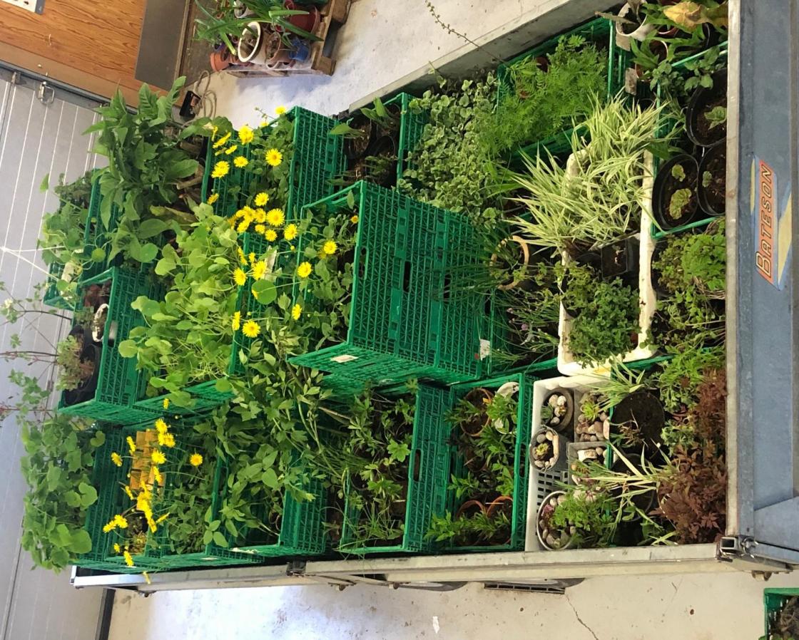 Øst-Modum Bygdekvinnelag grøntloppemarked Vikersund