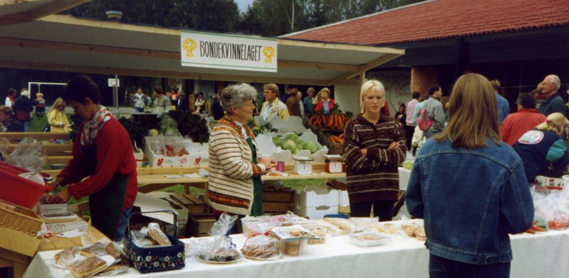 Et yrende liv på Hillestad skole