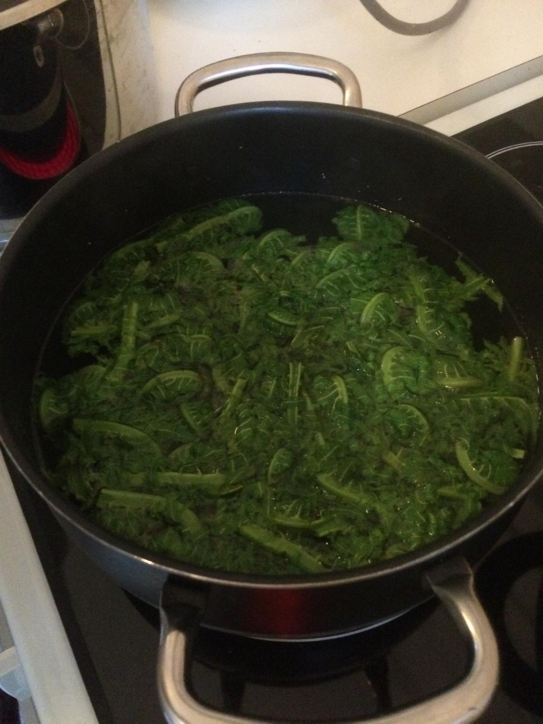 strutsevingblad - &amp;quot;fiddleheads&amp;quot;