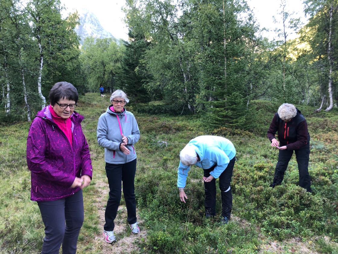 Fine blåbær vaks der langs vegen,- smakte visst godt!