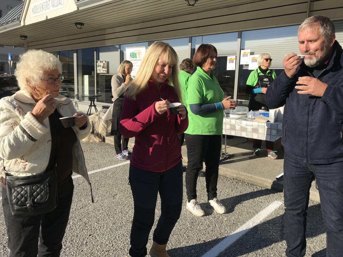 Kjendisar i Valldal!