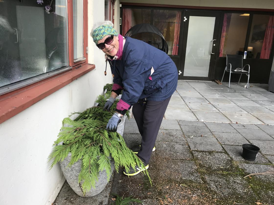 Liv dekorerer med litt grønt bladverk.