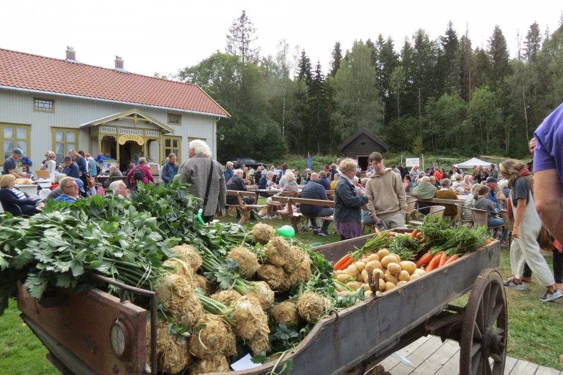 Reidvin-tunet sto for grønnsaksalget
