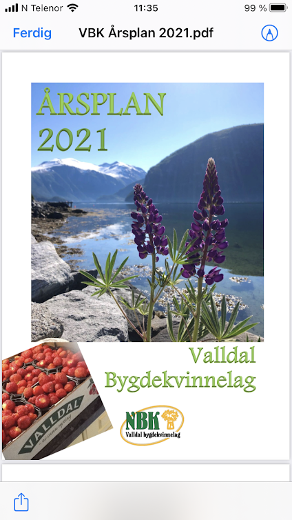 Valldal Bygdekvinnelag