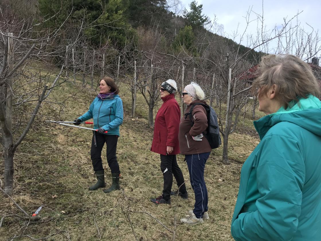 Anne og Liv er ivrige delakarar.