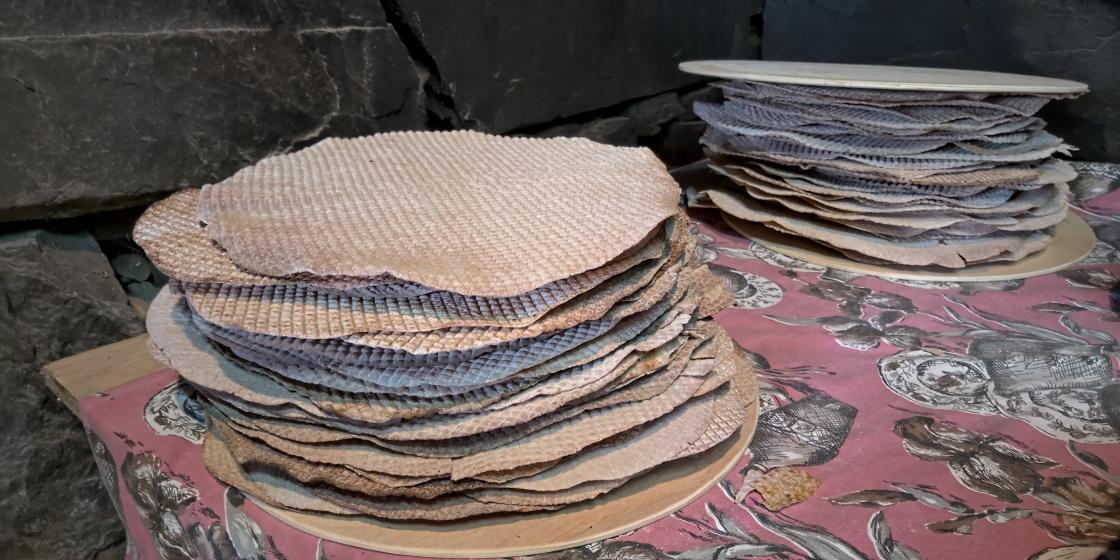 10 gevinstar med krotakaker, 10 leivar