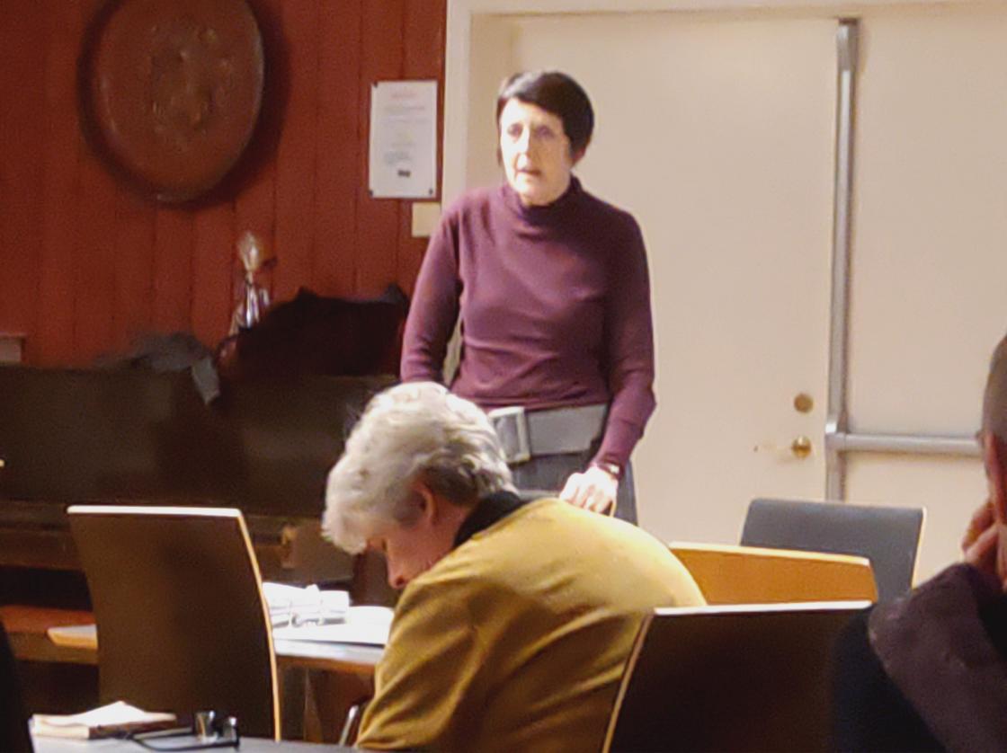 Leder Gerd Turid ønsker velkommen og informerer.