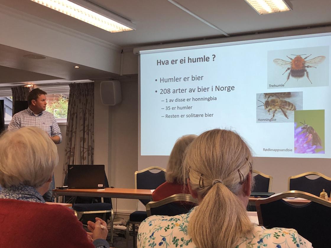 Tema: «La humla suse».