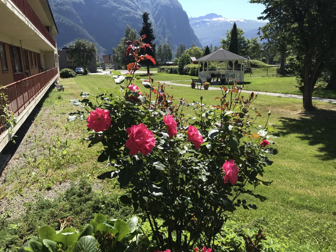 Romance er alltid fin.