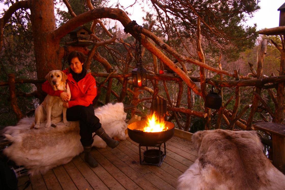Ta med deg venner og kjente på overnatting åtte meter over bakken. Foto: tretopphytter.no
