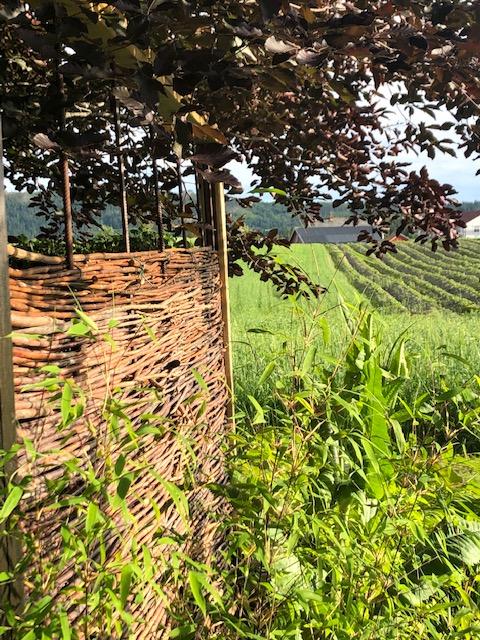 Stramt gjerde i pil står godt mot kulturlandskapet i bakgrunnen