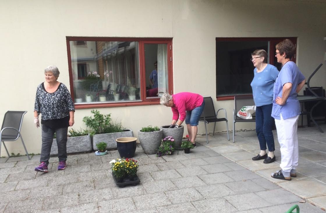 Kjekt med inspeksjon av bebuar og tilsett.